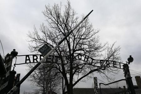 Auschwitz Birkenau Shared Guided Tour from Krakow