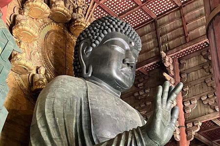 From Osaka: Private Nara Tour with Meet-Up at Your Hotel