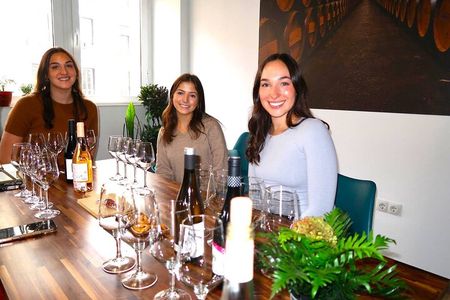 Tasting of 4 Spanish wines in Puerta del Sol Madrid