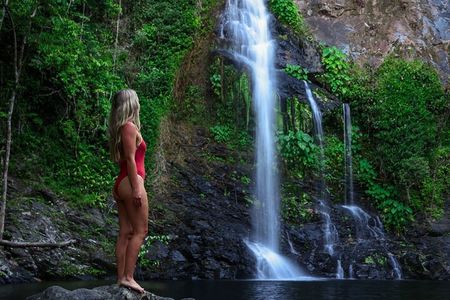 Daintree Waters Tour