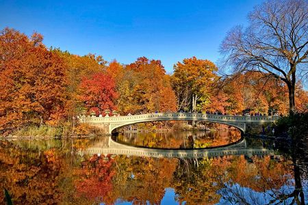 Welcome to New York: Broadway, 5th avenue, Central Park Tour