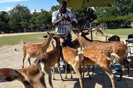 Kyoto Nara Private Car Tour with a Local English Guide and Driver