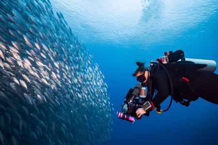 Scuba Diving Full Day Boat Trip W/Lunch & Transfer from Hurghada