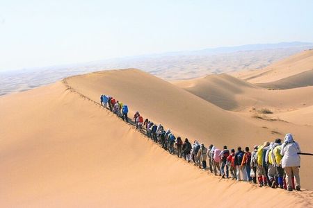 Morning Desert Walking Tour in Abu Dhabi with Camel Rides