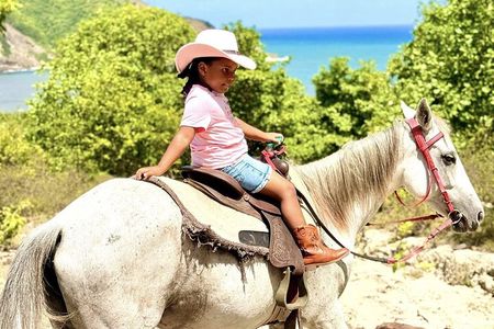 Nature & Historical Horseback Riding Tours St. Lucia