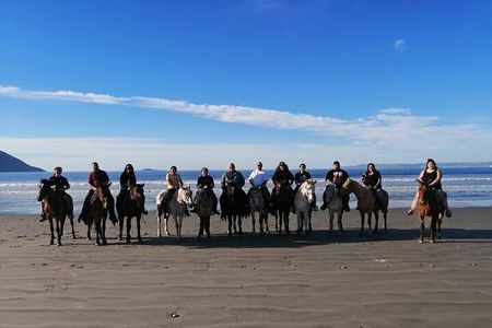 Ensenada Horseback Riding Adventure with Local Guide