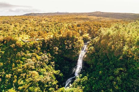 Authentic Exclusive Chamarel Tour visit to 4 Parks and Lunch