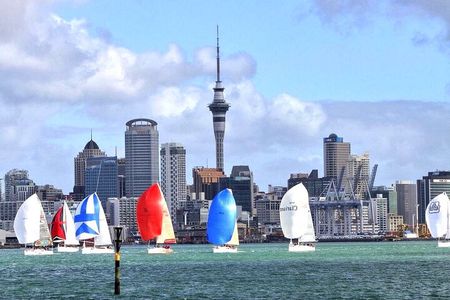 Auckland City Top Sights Half Day Tour - Small Group 