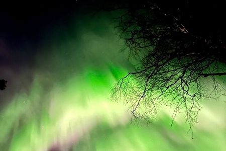 Rovaniemi: Aurora BBQ at the Best Spots