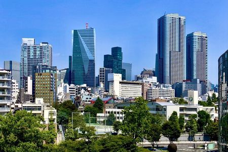 Tokyo Customizable Private One Day Walking Tour Hotel Pickup