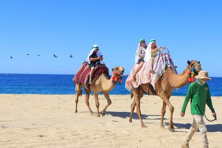 Pick 2 Adventure Combo! 