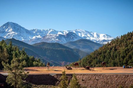  Full Day Trip in Atlas Mountains on Ourika Valley