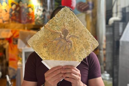 Tokyo Tsukiji Fish Market Food Tour: 15 Stops & Walk Local Street