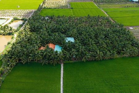 From HCMC–Mekong Delta Eco Tour: Non-Touristy & Small Group