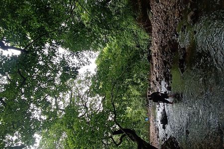 Shilonda Trail Nature Experience in Mumbai