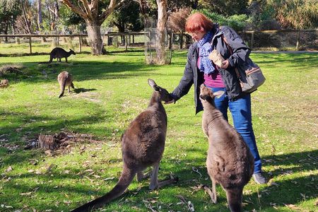 Premium Adelaide Hills Full Day Shore Tour Cruise Port Pick-up