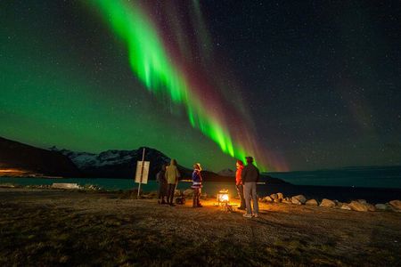 Northern Lights Chase with Sámi & local storytelling