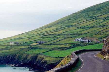 Private Tour to Dingle & Slea Head from Cork