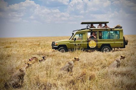 3-Day Classic Serengeti Safari