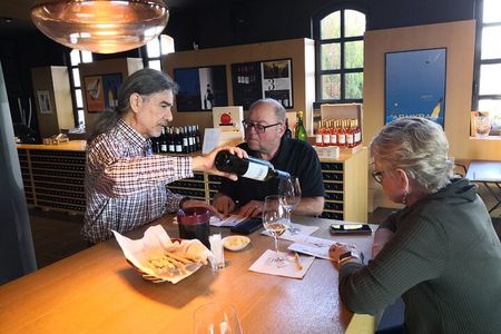 From Athens: Private Tour to Corinth Canal, Corinth & Nemea