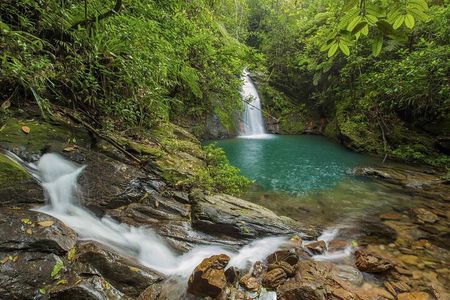 Cockscomb Wildlife Sanctuary 