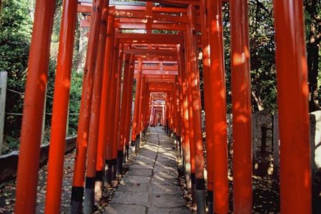 Tokyo: Private Yanaka District Local Gem Walking Tour