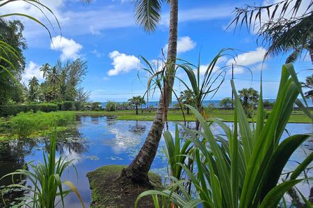 Private Full-Day Tahiti — Grotto, Gardens & Panoramas