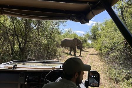 Johannesburg to Dinokeng Big Five Safari Adventure