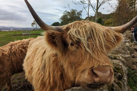 Private Tour of Scottish Highlands, Lochs, Falls from Edinburgh