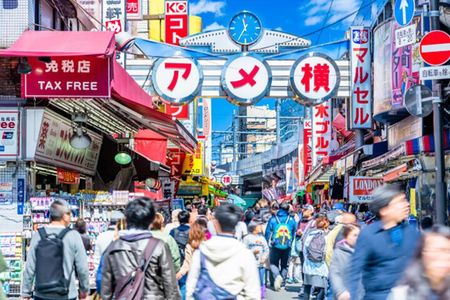 Tokyo: Private Ueno Highlights & Local Gem Walking Tour