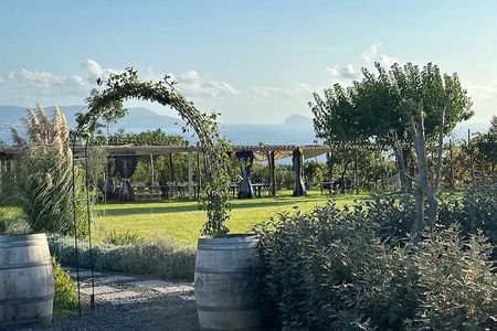 Pompeii Tour and Vesuvius Wine Tasting Day Trip from Naples