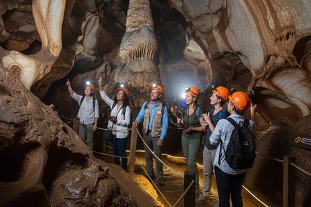 Half Day Cradle Of Humankind Tour