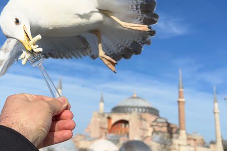  ISTANBUL WONDERS FullDay Private Guided City Tour Skipping Line