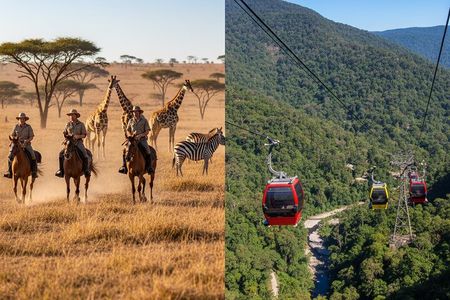 Horseback Safari & Cable Car Ride from Johannesburg 
