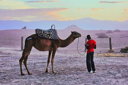 MARRAKECH: Quad & Camel AND SUNSET DINNER SHOW IN DESERT AGAFAY