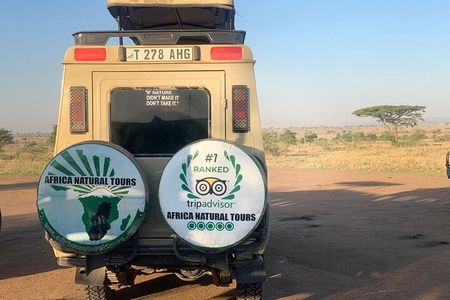 Discover The Top 1-Day Trip to Ngorongoro Crater in Tanzania