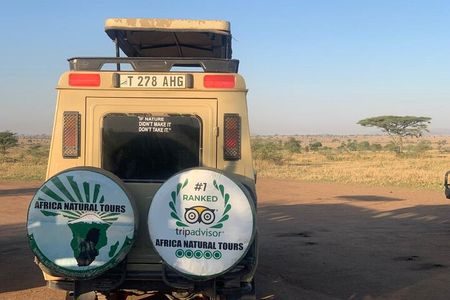 The Most Affordable 2-Day Tanzania Safari: Top safari in Tanzania