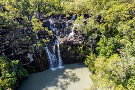 Airlie Waterfalls & Rainforest Bushwalk Eco Adventure