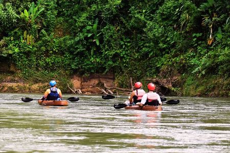 Wildlife Safari Experience by Kayak