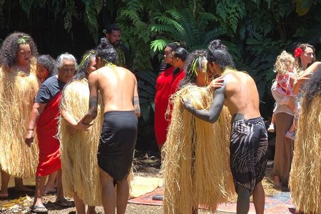Small Group Shared Half Day Tahiti Tour Waterfalls&Scenic Coast