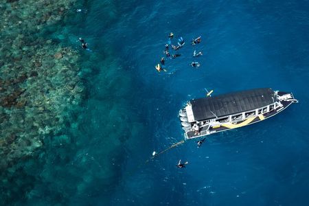 Cairns Half Day Tour a Great Barrier Reef Snorkeling Experience