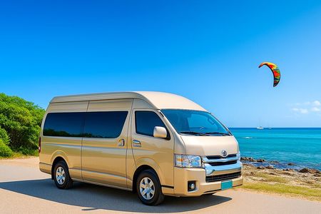 Aruba Private Island tour A/C Van