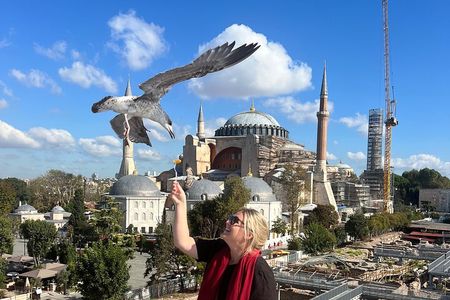  ISTANBUL WONDERS : Highlights FullDay Private Guided City Tour 