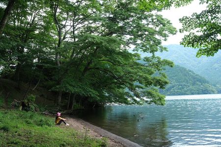 Shinrin Yoku / Forest Bathing at Hakone Lakeshore (Lake Ashi)