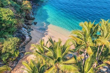 Puerto Vallarta : Snorkeling at Playa Escondida & Canopy Tour