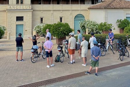 "Explore Saint-Émilion on e-Bikes: Small Group, half-Day Tour"