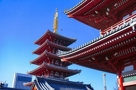 Tokyo: Big Highlights - Asakusa, Shibuya & Meiji Shrine tour