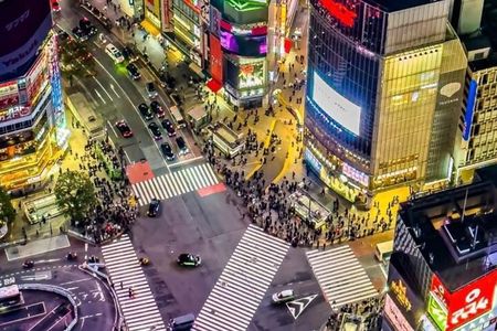 Tokyo Private Walking Tour for Tradition, Culture and Hidden Gems