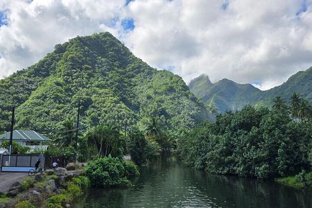Private Full Day in Papeete and Tahiti Iti with Belveder Lookout