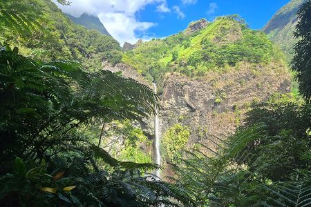 Tahiti Fautaua Valley and Big Waterfall Private Hiking Tour